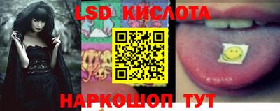 крисы Можга