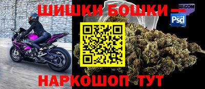 крисы Можга