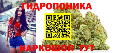 хмурый Новозыбков