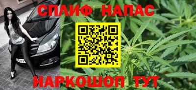 прущие крисы Моздок