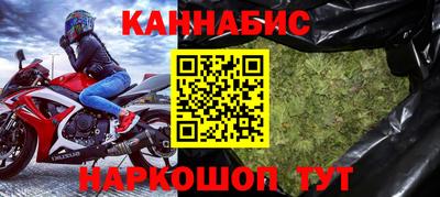 крисы Можга