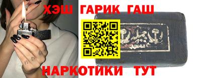крисы Можга